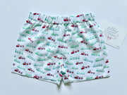 Boy Plain Short in Trains (#73)