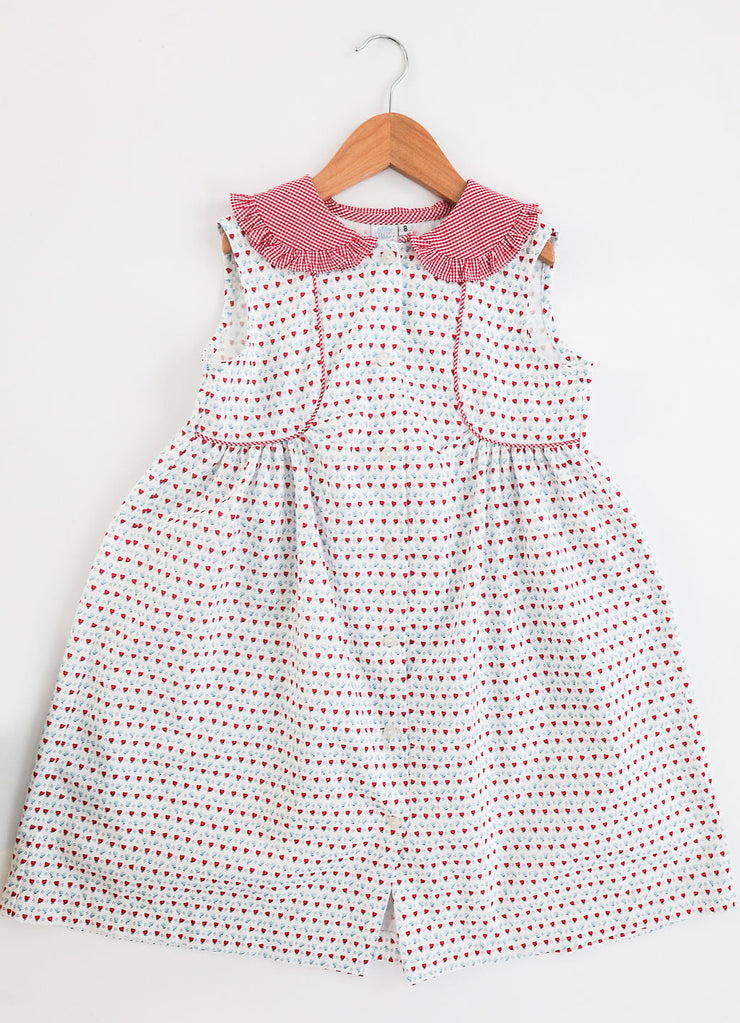 Mary Lea Dress in Patriotic Floral (#53) with Red Gingham (#5)